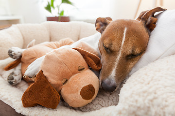 Image showing cozy couple on sofa