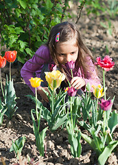 Image showing Little girl with tulips