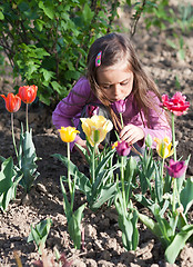 Image showing Little girl with tulips