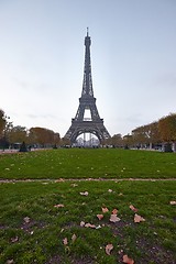 Image showing Eiffel Tower Fog