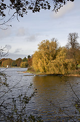 Image showing autumn trees