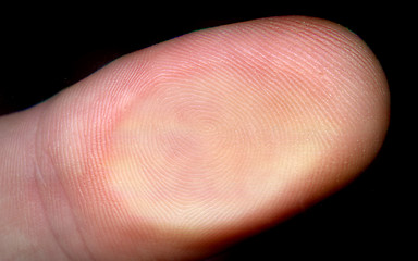 Image showing finger and fingerprint