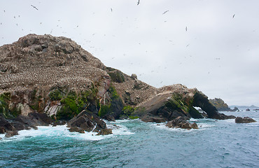 Image showing mountain top with bird sanctuary at Seven Islands