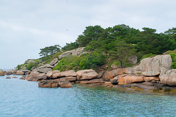 Image showing pink granite coast around Seven Islands