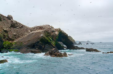 Image showing bird sanctuary at Seven Islands