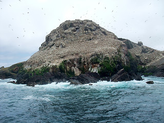 Image showing bird sanctuary at Seven Islands