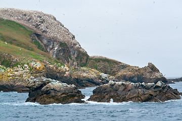 Image showing hugebird sanctuary at Seven Islands