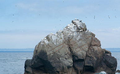 Image showing bird sanctuary at Seven Islands