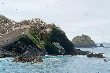 Image showing part of a bird sanctuary at Seven Islands