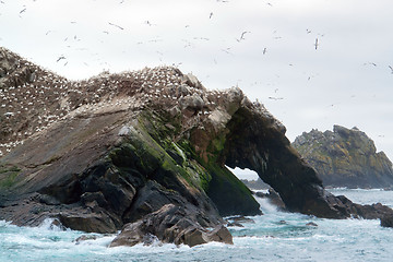 Image showing bird sanctuary at Seven Islands