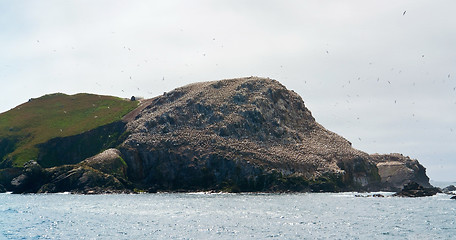 Image showing distant bird sanctuary at Seven Islands