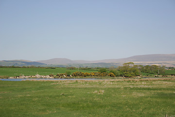 Image showing river in the countryside