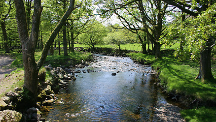 Image showing river scene