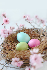 Image showing Easter Holiday Themed Still Life Scene in Natural Light