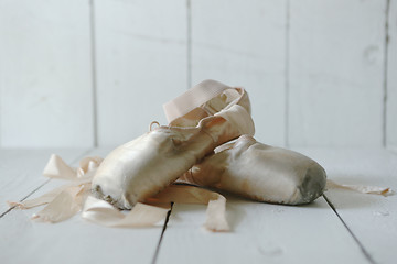 Image showing Posed Pointe Shoes in Natural Light 