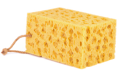 Image showing Yellow Sponge