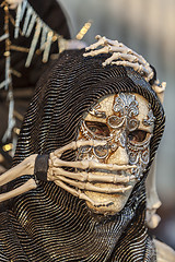 Image showing Skeleton Disguise