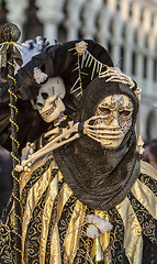 Image showing Skeleton Disguise