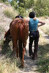 Image showing Horse and rider resting