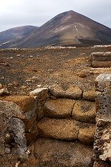 Image showing volcanic timanfaya  red rock stone sky   plant flower bush