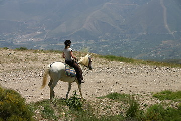 Image showing Horse and rider