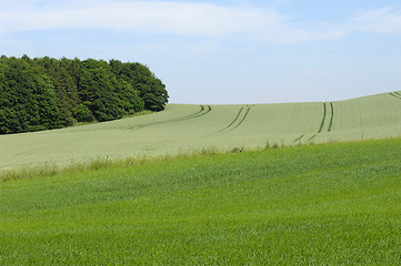 Image showing Landscape