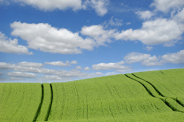 Image showing Green hill and clouds