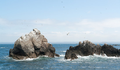 Image showing rock formation with some birds at Seven Islands