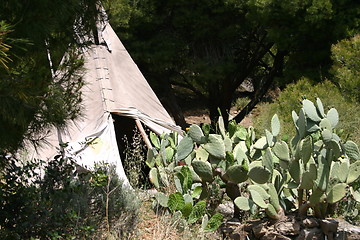 Image showing Traditional tipi behind cactus