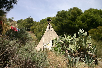 Image showing Traditional tipi with cactus and hanging laundry