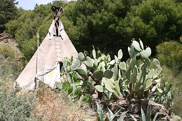 Image showing Traditional tipi behind cactus