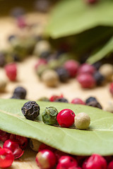 Image showing Dry bay laurel leaf with multicolored peppercorn