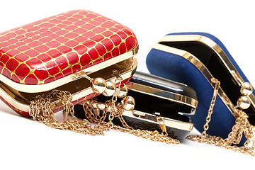 Image showing Fashionable female open handbags