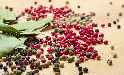 Image showing Dry bay laurel leaf with multicolored peppercorn