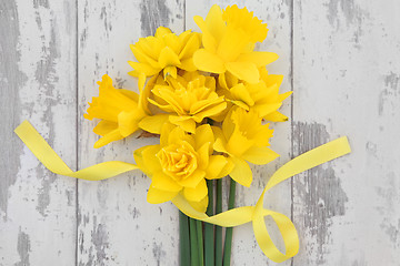 Image showing  Spring Daffodil Beauty