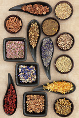 Image showing Naturopathic Herbs