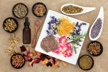 Image showing Magical and Medicinal Herbs