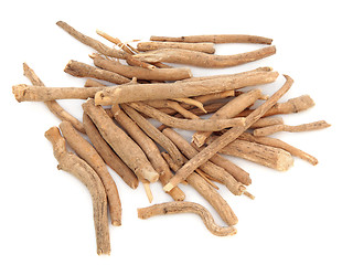 Image showing Ginseng 