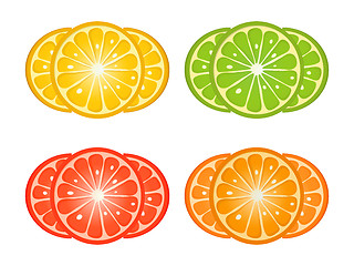 Image showing Citrus fruit slices