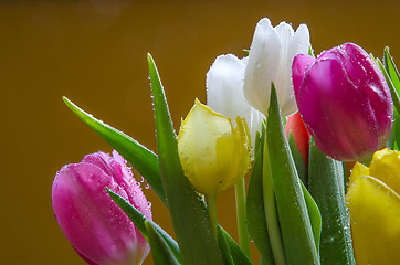 Image showing Detail of tulips bouquet