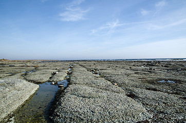 Image showing Flat rock coast