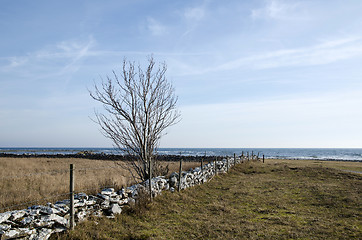 Image showing Fence at an old stonewall