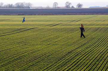 Image showing Scarecrows at a farmers field