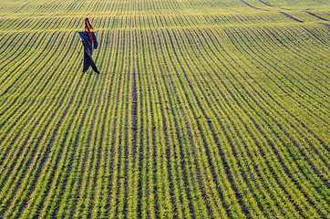 Image showing Scarecrow at a farmers field at springtime