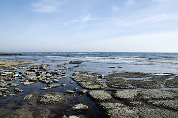 Image showing Flat and rocky coastline