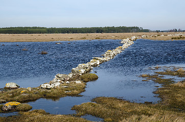 Image showing Springtime flood
