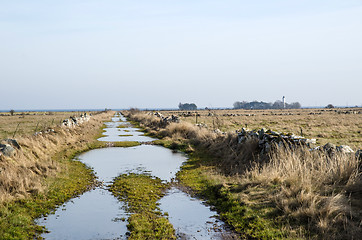 Image showing Flooded dirt road