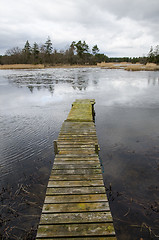 Image showing Old jetty at ice break-up