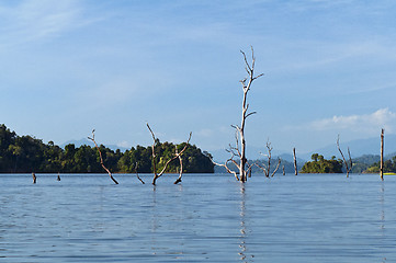 Image showing Chiew Lan Lake (Rajjaphapa Dam), Thailand