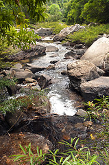 Image showing Water and stone, Khao Sok National Park, Thailand